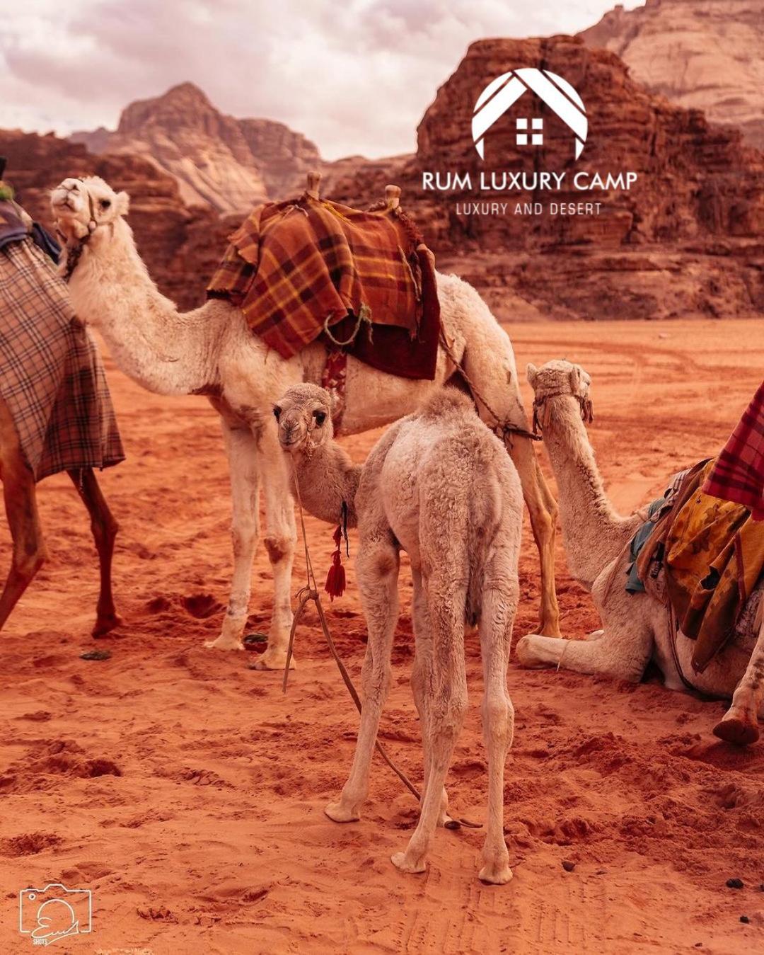 Rum Luxury Camp Wadi Rum Luaran gambar
